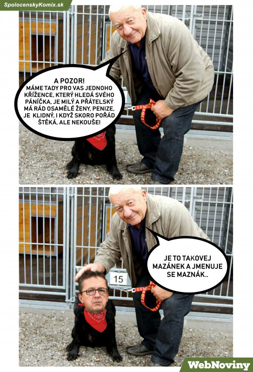 Chcete mě?